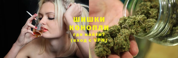 mdpv Елизово