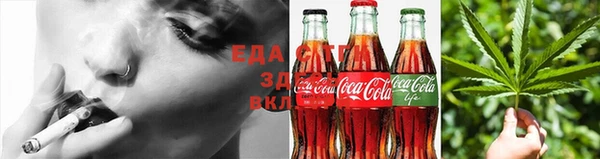метадон Ельня