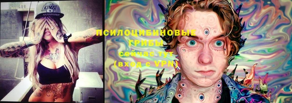 метадон Ельня