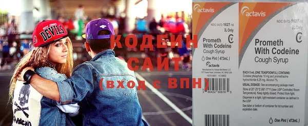 метадон Ельня
